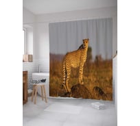 Штора (занавеска) для ванной JoyArty "Осмотр владений" из сатена, 180х200 см с крючками, sc_37408