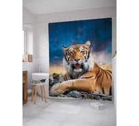 Штора (занавеска) для ванной JoyArty "Любопытный тигр" из сатена, 180х200 см с крючками, sc_38679