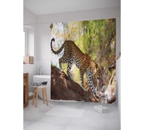 Штора (занавеска) для ванной JoyArty "Опасный спуск" из сатена, 180х200 см с крючками, sc_37582