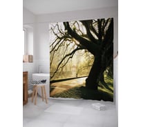 Штора (занавеска) для ванной JoyArty "Вековые деревья в парке" из сатена, 180х200 см с крючками, sc_32527