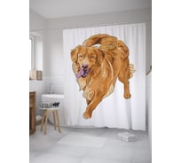 Штора (занавеска) для ванной JoyArty "Длинношерстный ретривер" из сатена, 180х200 см с крючками, sc_59190