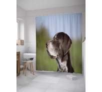 Штора (занавеска) для ванной JoyArty из сатена, 180х200 см с крючками, ssc_35796