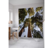 Штора (занавеска) для ванной JoyArty "Вековой лес" из сатена, 180х200 см с крючками, sc_4136