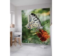 Штора (занавеска) для ванной JoyArty "Бабочка прибыла к цели" из сатена, 180х200 см с крючками, sc_4160