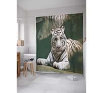 Штора (занавеска) для ванной JoyArty "Тигр альбинос" из сатена, 180х200 см с крючками, sc_38656