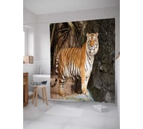 Штора (занавеска) для ванной JoyArty "Величественный тигр" из сатена, 180х200 см с крючками, sc_38681