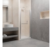 Душевая дверь RGW PA-03 41080308-11