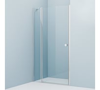 Душевая дверь IDDIS Ray распашная, глянцевый алюминиевый профиль, 110х195 RAY6CP1i69