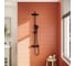 Душевая колонна VITRA Aquaheat Bliss 240 2F, матовый черный A4720536EXP 3