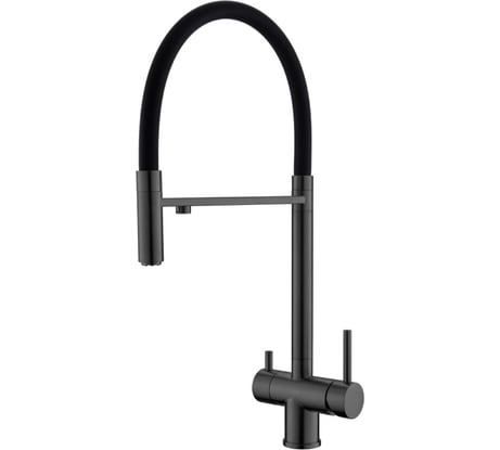 Смеситель для кухни с гибким изливом и подключением фильтра Wesnaart оружейная сталь EKO05-160GunMetal