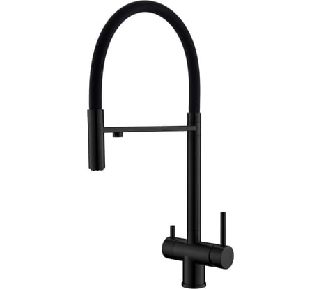 Смеситель для кухни с гибким изливом и подключением фильтра Wesnaart черный EKO05-160MatBlack