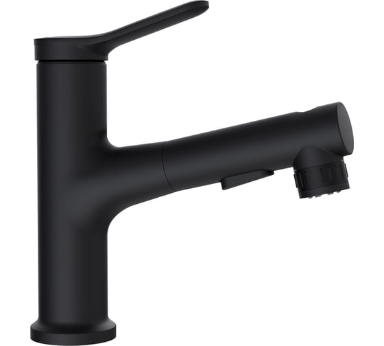 Смеситель с выдвижным изливом BelBagno черный матовый BB-LVMD-NERO-W0