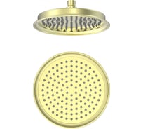 Тропическая лейка для душа Wonzon & Woghand брашированное золото WW-88DP05-BG