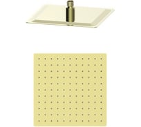 Тропическая лейка для душа Wonzon & Woghand брашированное золото WW-88DP02-BG