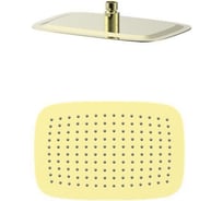 Тропическая лейка для душа Wonzon & Woghand брашированное золото WW-88DP03-BG