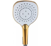 Душевая лейка Wonzon & Woghand темное золото WW-981358-DG