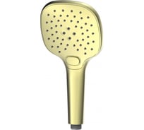 Лейка для душа Wonzon & Woghand брашированное золото WW-88SC02-BG