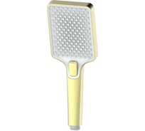 Лейка для душа Wonzon & Woghand брашированное золото WW-88SC08-BG