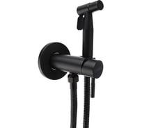 Смеситель для биде с гигиеническим душем СоюзКран настенный, картридж 35мм, черный, нержавеющая сталь SS03-R132 567-044