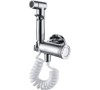 Встраиваемый смеситель с гигиеническим душем D&K DK Bayern.Alfeld хром DA1484541