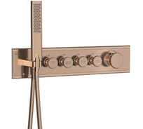 Внешняя панель управления TESKA на 4 режима, розовое золото SH4009