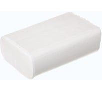 Полотенца листовые ACG Z-сл. Классик, 1 слоя, целлюлоза, 21x23 см, 30г/м2, 200 л/пачке, 20 пачек 1028139