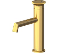 Смеситель для раковины TESKA Arte Leo S, золото E5517