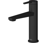 Смеситель для раковины TESKA Liva Leo S, черный E5414