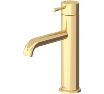 Смеситель для раковины TESKA Atlas Leo S, золото E5717