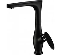 Смеситель для кухни KAISER Star боковой, с гайкой, черный, O35 02044-2