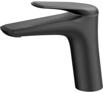 Смеситель для раковины Wonzon & Woghand темный графит WW-A41222-BGG