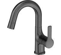 Смеситель для раковины Wonzon & Woghand с выдвижным изливом, темный графит WW-FE01L212-BGG