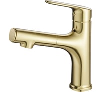 Смеситель для раковины Wonzon & Woghand с выдвижным изливом, брашированное золото WW-AE4151-BG