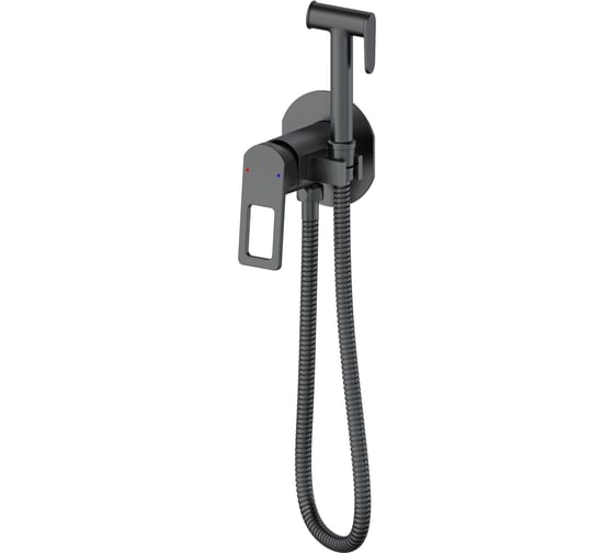 Смеситель с гигиеническим душем встраиваемый Wonzon & Woghand, темный графит WW-88829010-BGM 1