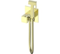 Смеситель с гигиеническим душем и термостатом Wonzon & Woghand, встраиваемый, брашированное золото WW-88829910-BG