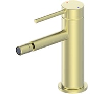 Смеситель для биде Wonzon & Woghand брашированное золото WW-88339017-BG