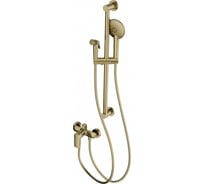 Смеситель для душа с гарнитуром Wonzon & Woghand брашированное золото WW-A4888-BG