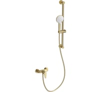 Смеситель для душа с гарнитуром Wonzon & Woghand брашированное золото WW-AE3103-BG