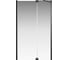 Распашная дверь Creto Tenta 1200 мм, стекло прозрачное EASY CLEAN, черный, 123-WTW-120-C-B-8 260091 1