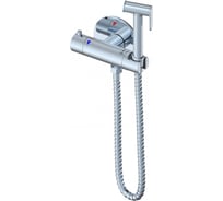 Смеситель с гигиеническим душем и термостатом Wonzon & Woghand встраиваемый, хром WW-88819902-CR