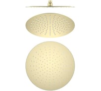 Круглый верхний душ AQUATEK AQ2075BG 300*2 мм, шлиф. золото 00000139833