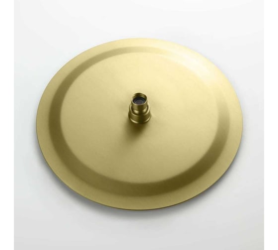 Круглый верхний душ AQUATEK AQ2075BG 300*2 мм, шлиф. золото 00000139833