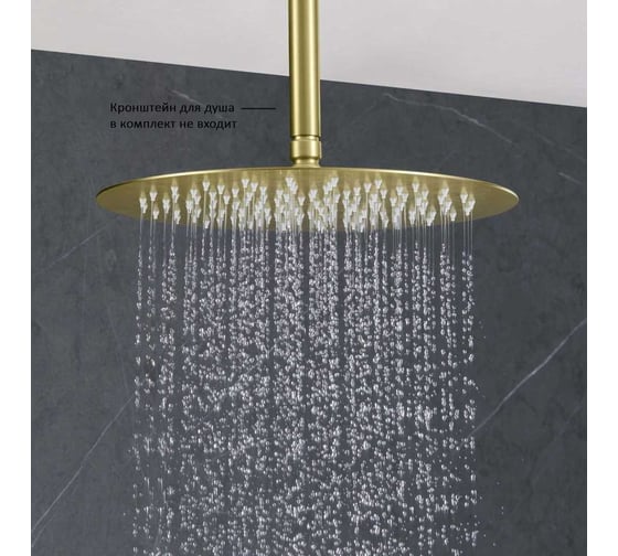 Круглый верхний душ AQUATEK AQ2075BG 300*2 мм, шлиф. золото 00000139833