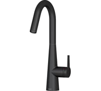 Смеситель для кухни TESKA Axis черный E4108