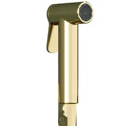 Лейка для гигиенического душа TESKA металл, золото BTK6907