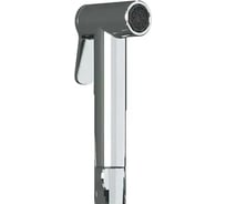 Лейка для гигиенического душа TESKA металл, хром BTK6900