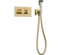 Встраиваемый термостатический смеситель с гигиеническим душем TESKA Lio Teo золото TS6207