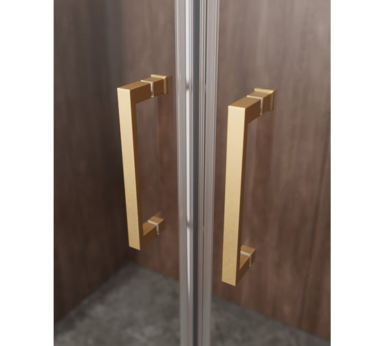 Душевая дверь Cezares MOLVENO-BF-2-170-C-BORO-IV