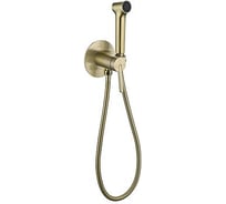 Встроенный гигиенический душ Rose R235G