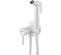 Встроенный гигиенический душ SHEVANIK S147C